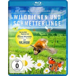 Polyband Wildbienen und Schmetterlinge