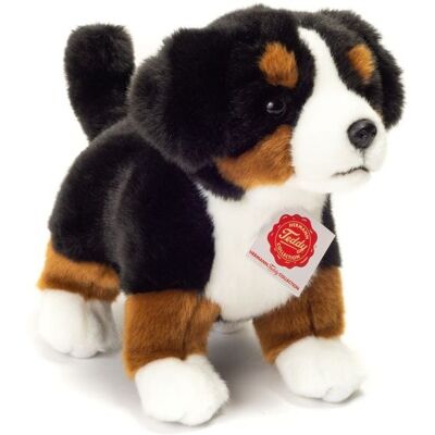 Teddy-Hermann Teddy Hermann 91930 - Berner Sennenhund Welpe, 23 cm, Hund, Plüschtier Teddy-Hermann Teddy Hermann 91930 - Berner Sennenhund Welpe, 23 cm, Hund, Plüschtier