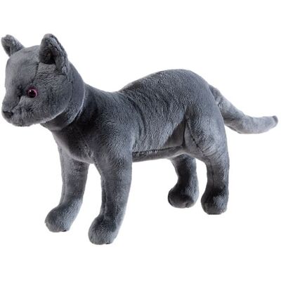 Heunec 621169 - Katze Karajan, Schule der magischen Tiere, Plüschtier, 30 cm Heunec 621169 - Katze Karajan, Schule der magischen Tiere, Plüschtier, 30 cm