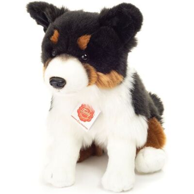 Teddy-Hermann Teddy Hermann 91956 - Tri-Color Border Collie, sitzend, 30 cm Teddy-Hermann Teddy Hermann 91956 - Tri-Color Border Collie, sitzend, 30 cm