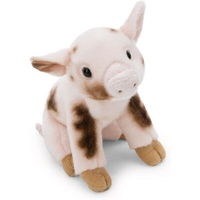 NICI - Kuscheltier Schwein 20cm NICI - Kuscheltier Schwein 20cm