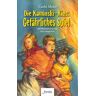 Fontis Gefährliches Spiel / Die Kaminski-Kids Bd. 14