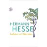 Insel Leben ist Werden