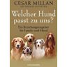 Goldmann Welcher Hund passt zu uns?