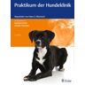 Enke Praktikum der Hundeklinik