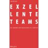 Wiley-VCH Exzellente Teams