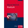 Utb GmbH Biophysik