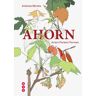 Ott Verlag Ahorn