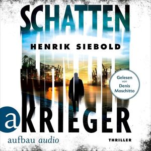 Aufbau Audio Schattenkrieger Aufbau Audio Schattenkrieger