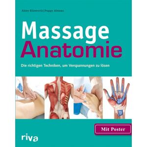 Riva Massage-Anatomie Riva Massage-Anatomie