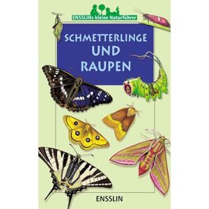 Arena Schmetterlinge und Raupen Arena Schmetterlinge und Raupen