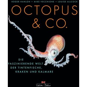 Delius Klasing Octopus & Co. Delius Klasing Octopus & Co.