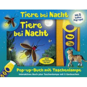 Phoenix Int Publications Buch & Sound Spiel-Set, Tiere bei Nacht Phoenix Int Publications Buch & Sound Spiel-Set, Tiere bei Nacht