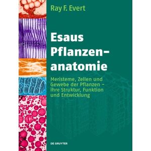 De Gruyter Esaus Pflanzenanatomie De Gruyter Esaus Pflanzenanatomie