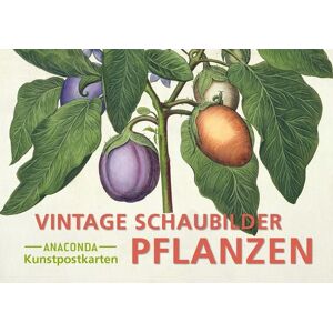 Anaconda Postkarten-Set Vintage-Schaubilder Pflanzen Anaconda Postkarten-Set Vintage-Schaubilder Pflanzen