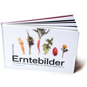 Spriessbürgerverlag Erntebilder Spriessbürgerverlag Erntebilder