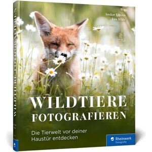 Rheinwerk Verlag Wildtiere fotografieren Rheinwerk Verlag Wildtiere fotografieren