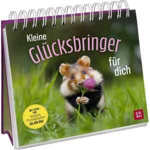 Groh Kleine Glücksbringer für dich Groh Kleine Glücksbringer für dich