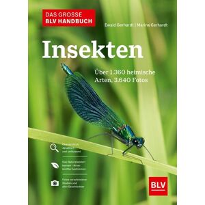 Das große BLV Handbuch Insekten Das große BLV Handbuch Insekten