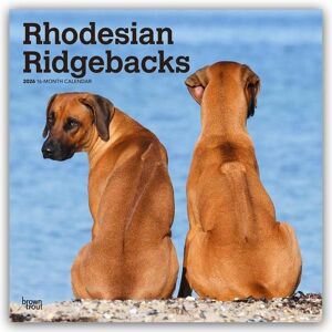 Brown Trout-Auslieferer Flechsig Rhodesian Ridgebacks – Rhodesian Ridgeback 2026 – 16-Monatskalender Brown Trout-Auslieferer Flechsig Rhodesian Ridgebacks – Rhodesian Ridgeback 2026 – 16-Monatskalender