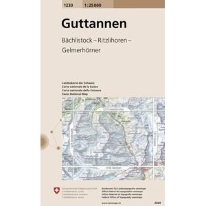 Swisstopo 1 : 25 000 Guttannen Swisstopo 1 : 25 000 Guttannen
