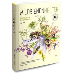 Tipp 4 Wildbienenhelfer Tipp 4 Wildbienenhelfer