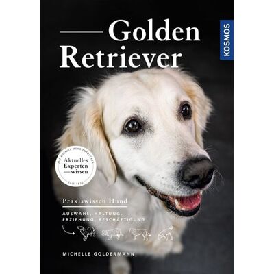 Kosmos Golden Retriever Kosmos Golden Retriever