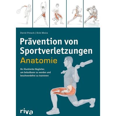 Riva Prävention von Sportverletzungen – Anatomie Riva Prävention von Sportverletzungen – Anatomie
