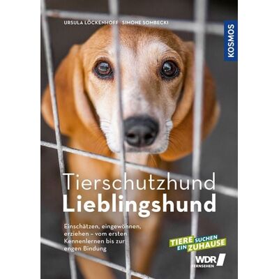 Kosmos Tierschutzhund Lieblingshund Kosmos Tierschutzhund Lieblingshund