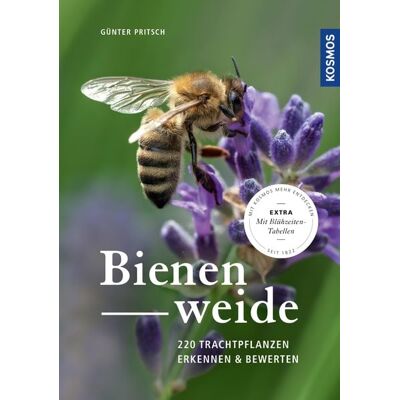 Kosmos Bienenweide Kosmos Bienenweide