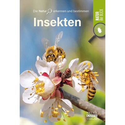 Neuer Kaiser Insekten Neuer Kaiser Insekten