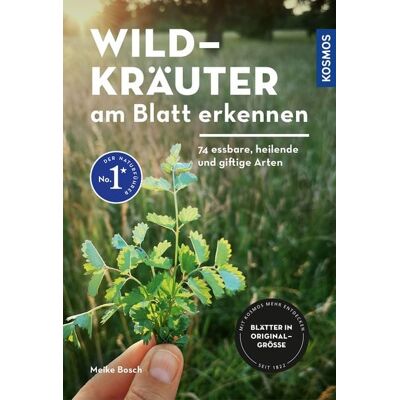 Kosmos Wildkräuter am Blatt erkennen Kosmos Wildkräuter am Blatt erkennen