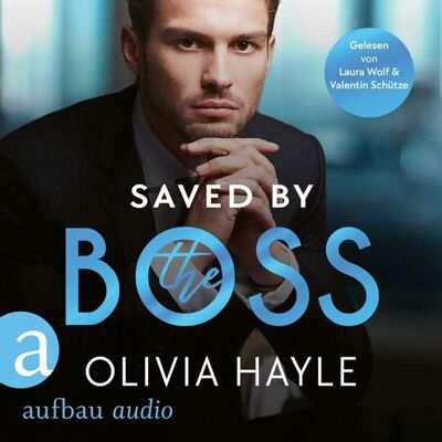 Aufbau Audio Saved by the Boss Aufbau Audio Saved by the Boss