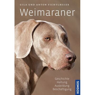 Kosmos Weimaraner Kosmos Weimaraner
