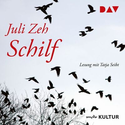 Der Audio Verlag Schilf Der Audio Verlag Schilf