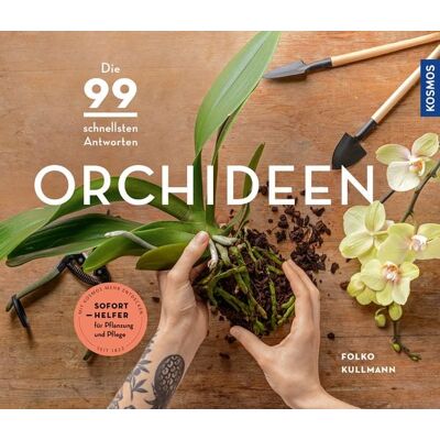 Kosmos Orchideen Kosmos Orchideen
