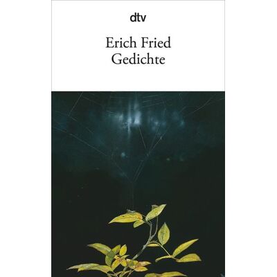 dtv Gedichte dtv Gedichte