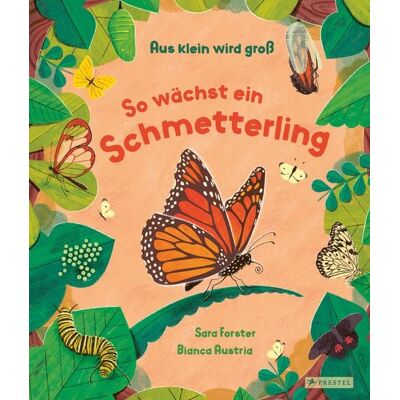 Prestel Aus klein wird groß. So wächst ein Schmetterling Prestel Aus klein wird groß. So wächst ein Schmetterling