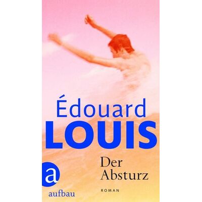 Aufbau Der Absturz Aufbau Der Absturz