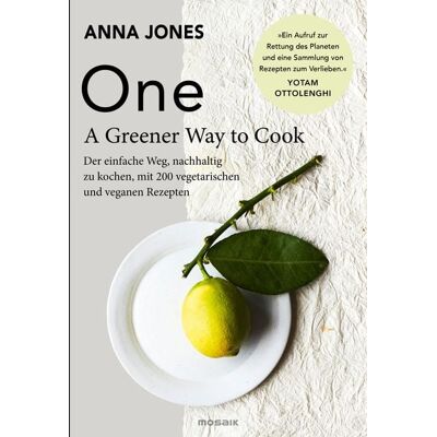 Mosaik ONE - A Greener Way to Cook Mosaik ONE - A Greener Way to Cook