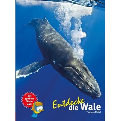 Natur Und Tier Entdecke die Wale Natur Und Tier Entdecke die Wale