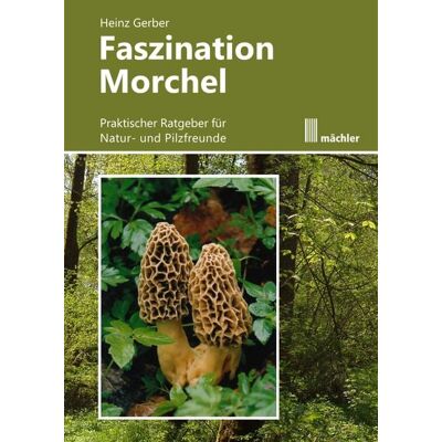 Mächler Media Faszination Morchel Mächler Media Faszination Morchel