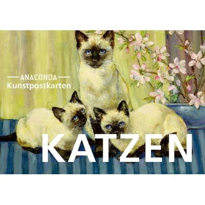 Anaconda Postkarten-Set Katzen Anaconda Postkarten-Set Katzen