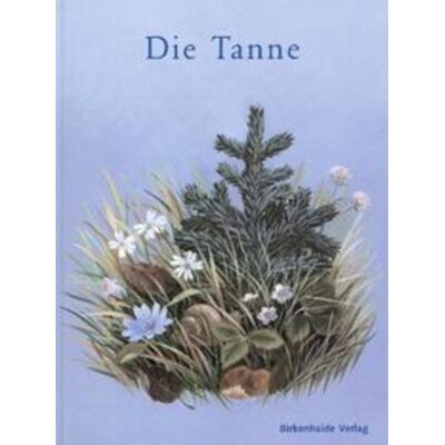 Mattenbach Die Tanne Mattenbach Die Tanne
