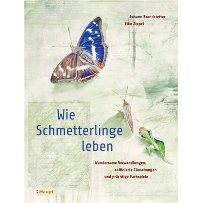 Haupt Verlag Wie Schmetterlinge leben Haupt Verlag Wie Schmetterlinge leben