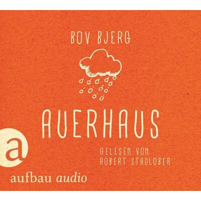 Aufbau Audio Auerhaus Aufbau Audio Auerhaus