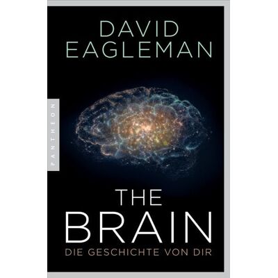 Pantheon The Brain Pantheon The Brain