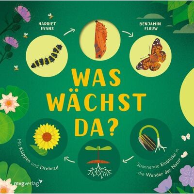 Mvg Was wächst da? Mvg Was wächst da?