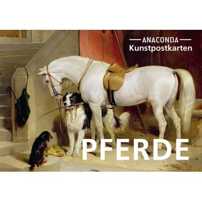 Anaconda Postkarten-Set Pferde Anaconda Postkarten-Set Pferde