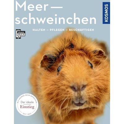 Kosmos Meerschweinchen Kosmos Meerschweinchen